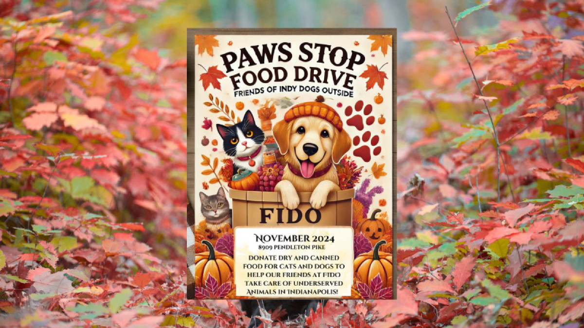 Paws Stop Food Drive: Friends of Indy Dogs Outside