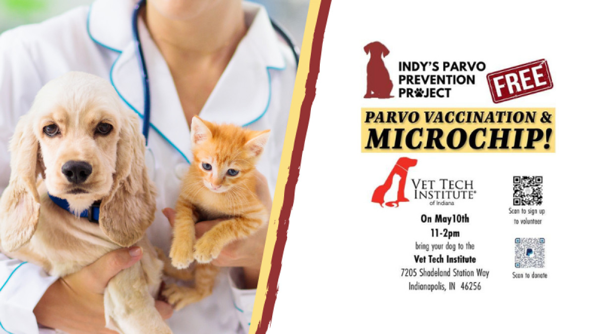 Parvo Vaccination & Microchip Clinic
