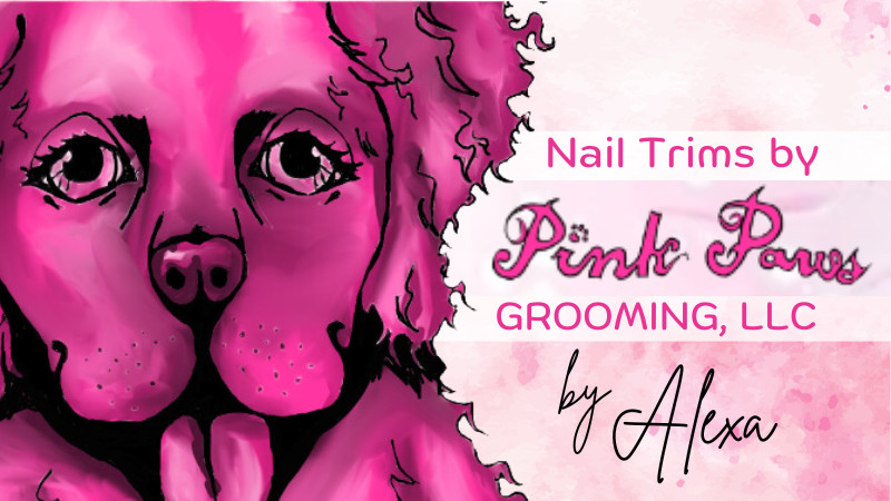 Nail Trims by Alexis from Pink Paws Pet Grooming!