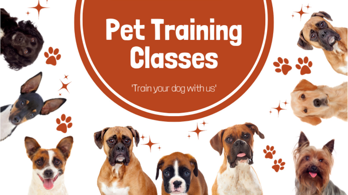 Meet the Trainer Event!