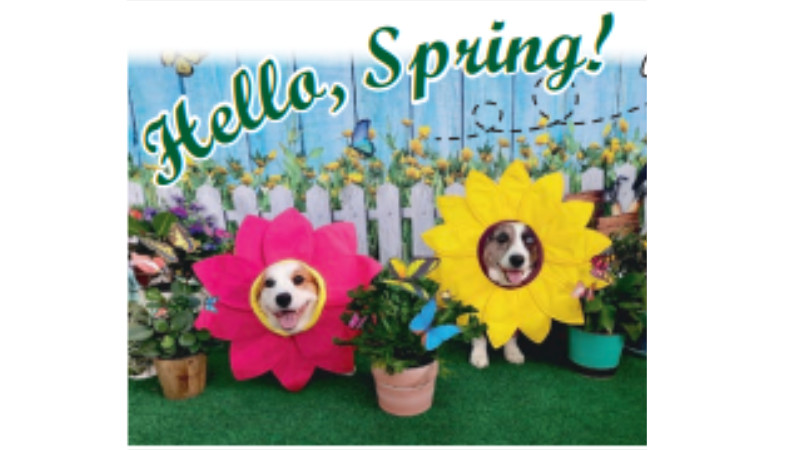 🌸 Hello, Spring! Celebrate with May Specials 🌸