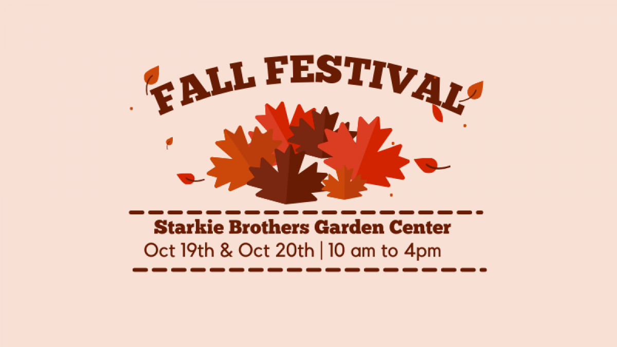 Fall Festival 2024