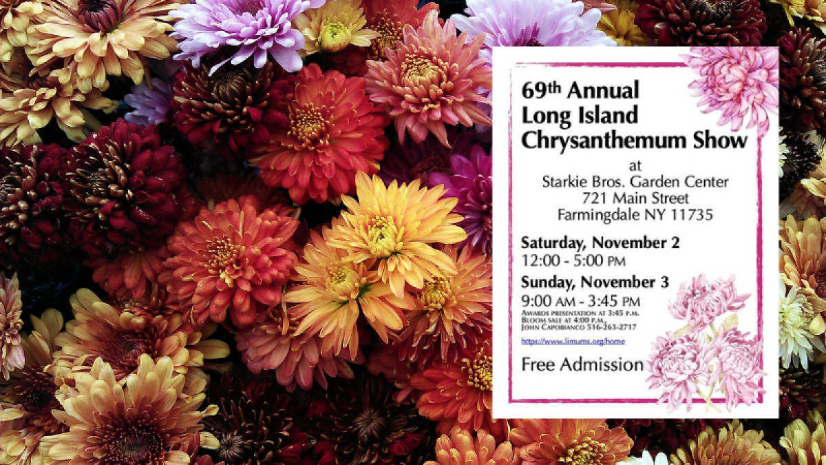 69th Annual Long Island Chrysanthemum Show