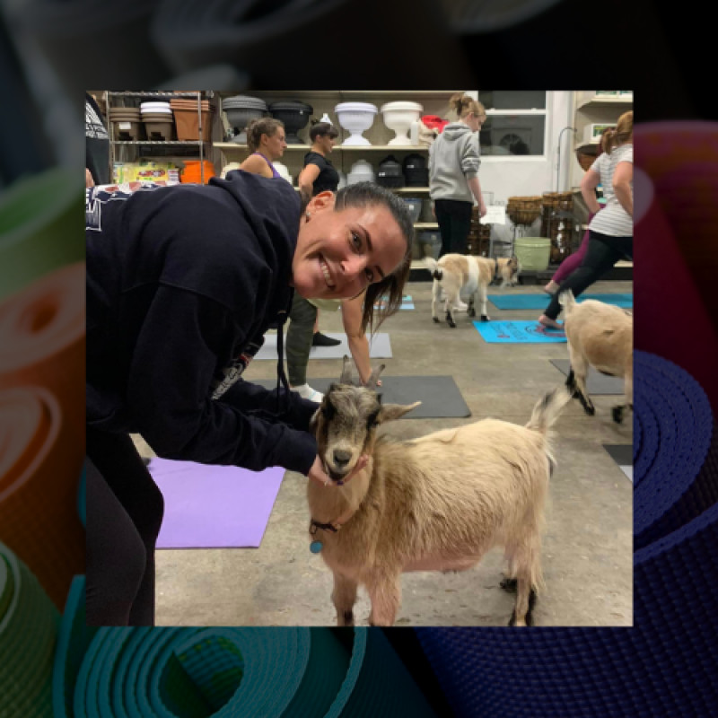 GOAT YOGA AT STARKIE BROTHERS GARDEN CENTER
