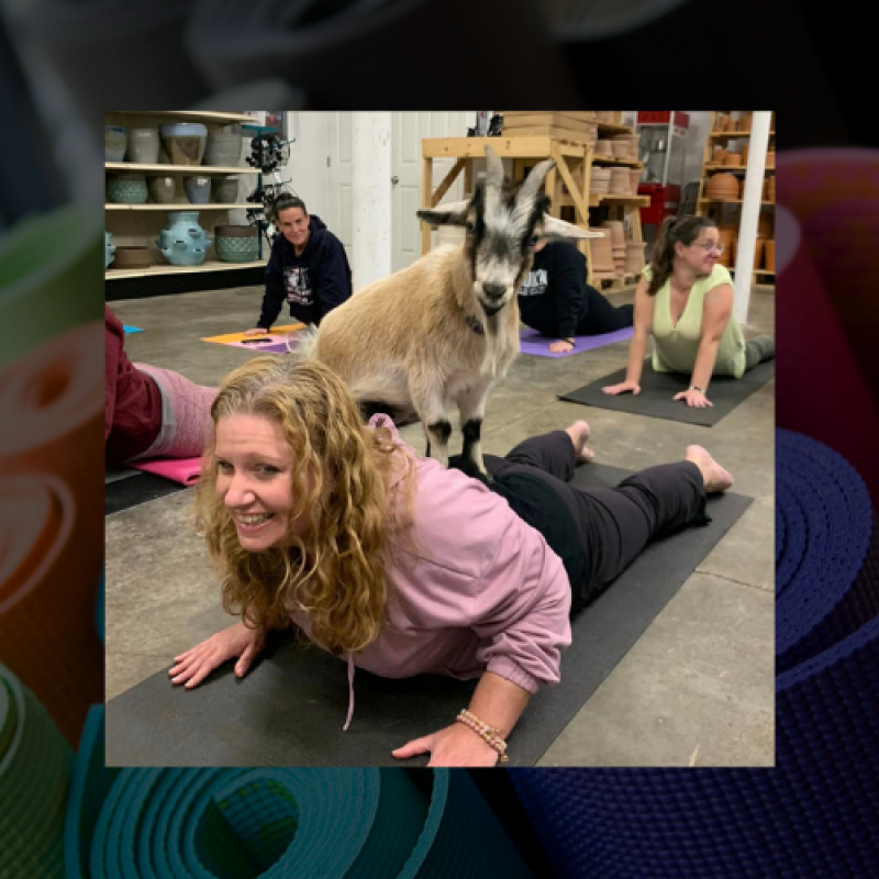 GOAT YOGA AT STARKIE BROTHERS GARDEN CENTER