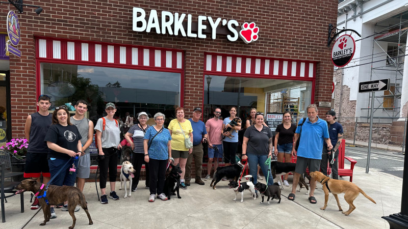 Barkley's Community Dog Walk Flemington- 6:30pm Wednesdays