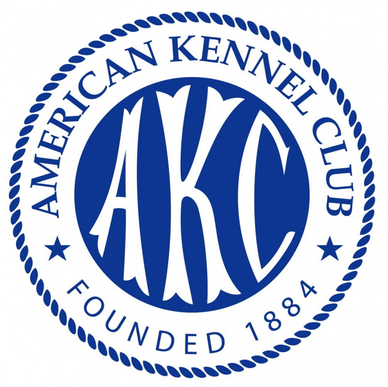 AKC Health Clinic at Kings Pet