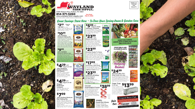 Great Savings Start Here! 🌱