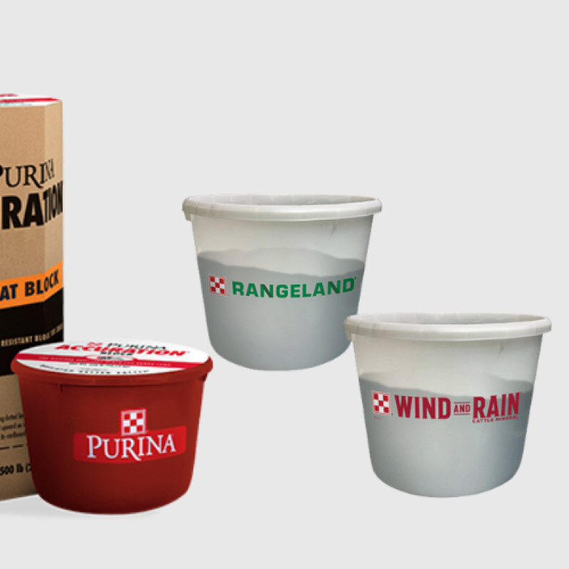 🍂 Purina Fall Tub Sale for Cattle! 🍂