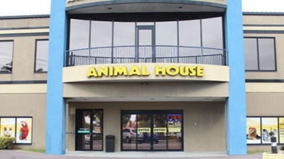 Animal House Cayman Locations 600x300px Shopify (2).png
