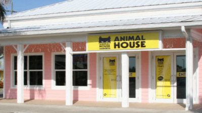 Animal House Cayman Locations 600x300px Shopify (1).png