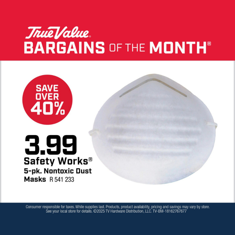 Safety Works® 5-pk. Nontoxic Dust Masks $3.99