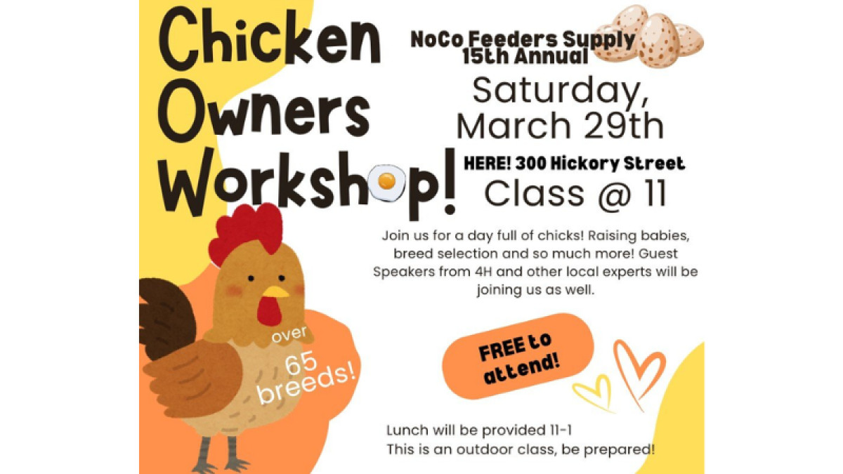 Chicken Owners Workshop!