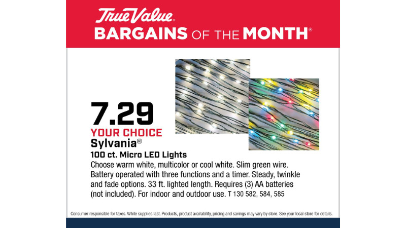 Your Choice Sylvania® 100 ct. Micro LED Lights $7.29