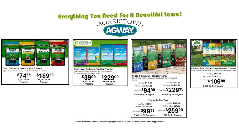 Nurture Your Lawn, One Step at a Time!