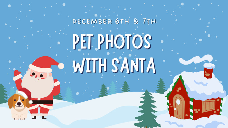 Pet Pictures with Santa