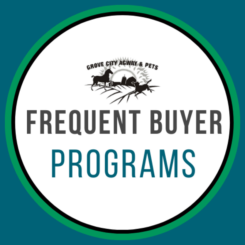 All Frequent Buyer Programs
