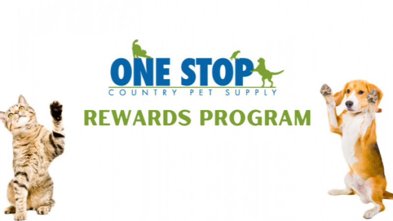 Rewards Program