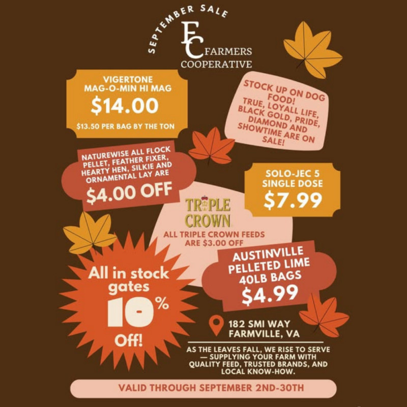 September Sales