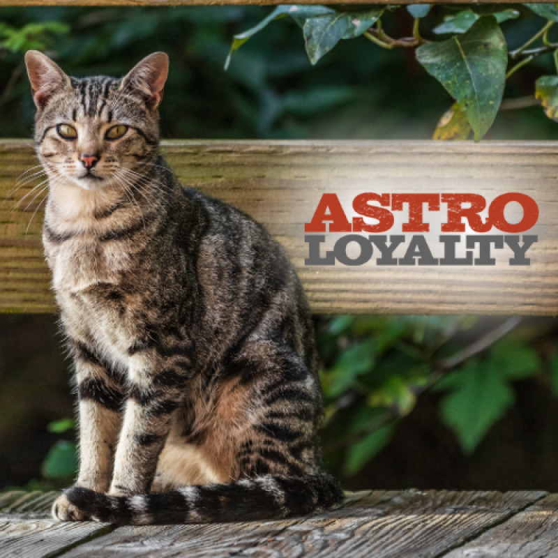 Astro Loyalty Offers
