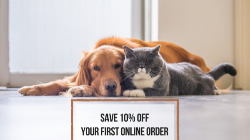 10% Off Your First Online Order