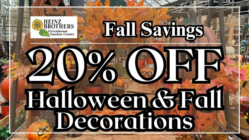 20% Off Halloween & Fall Decorations