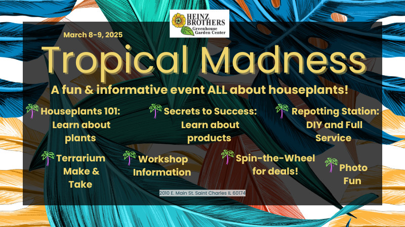 Tropical Madness
