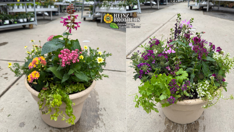 Pollinator & Butterfly Planter Workshop