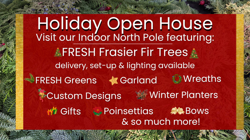 Holiday Open House