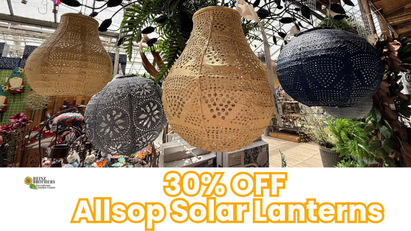 30% off allsop solar lanterns