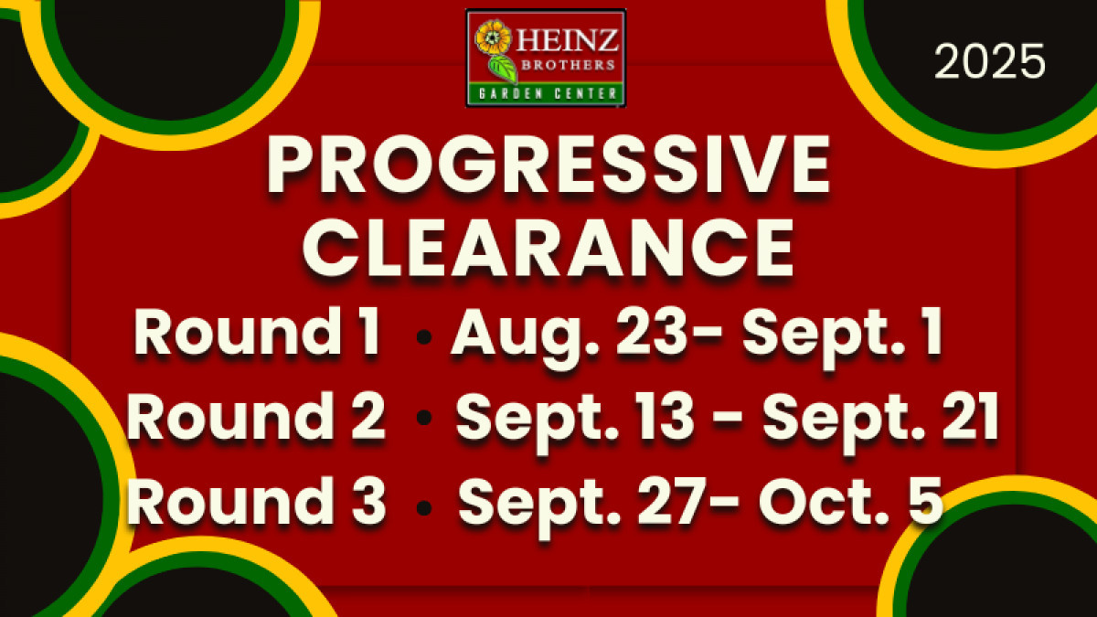 Progressive Clearance