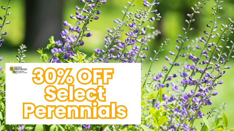 30% Off select perennials