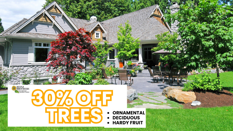 30% Off trees