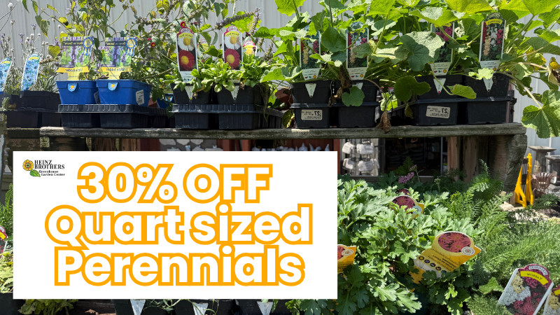 30% off Quart sized Perennials