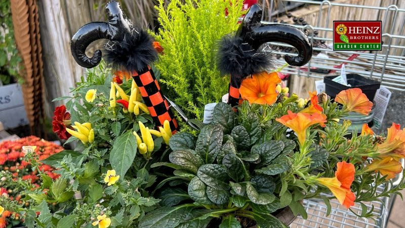 Fall Container Planting Party