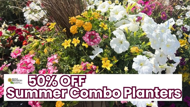 50% Off Summer Annual Combination Planters
