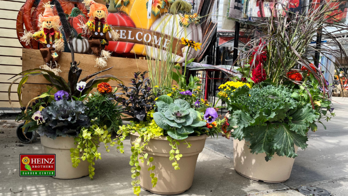Fall Container Planting Party