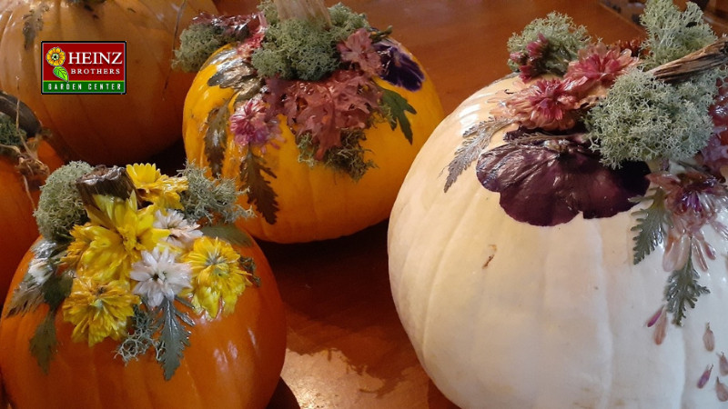 Pumpkin Decoupage