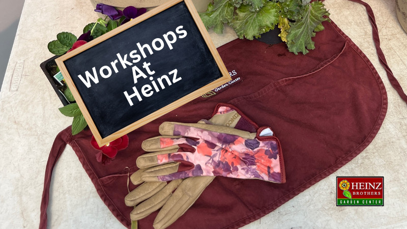 Holiday Centerpiece- Adult Workshop