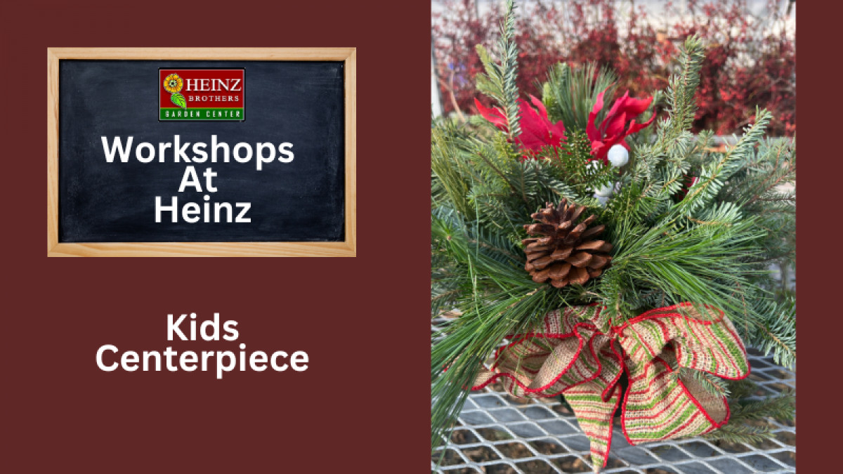 Holiday Centerpiece- Kid's Workshop