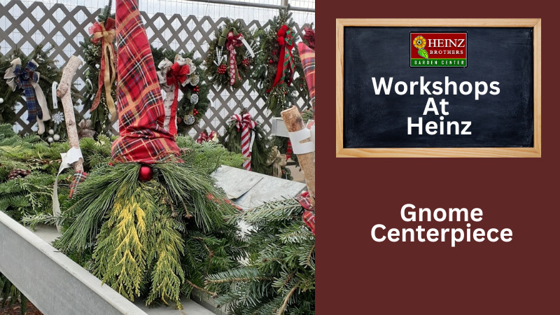 Winter Gnome Centerpiece