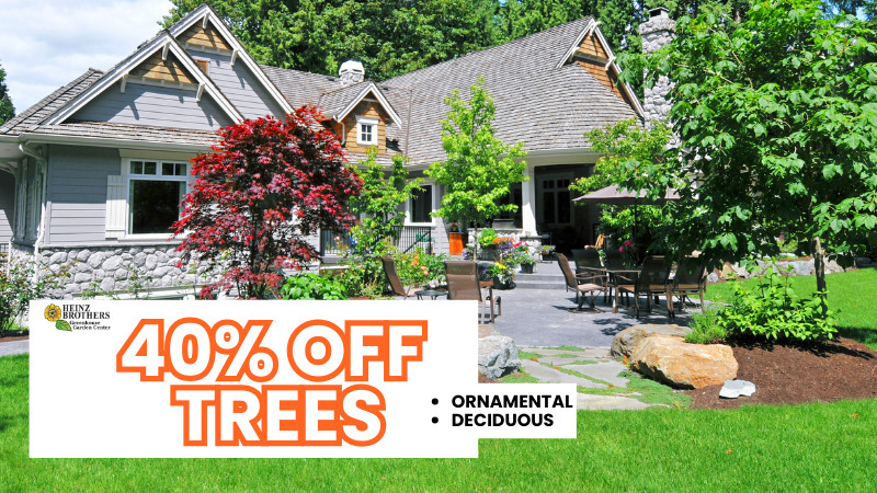 40% off all trees