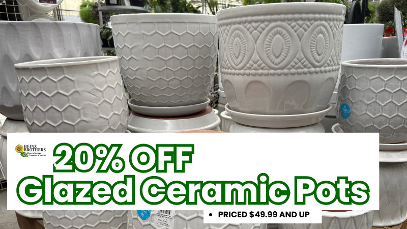 20% off Glazed ceramic pots