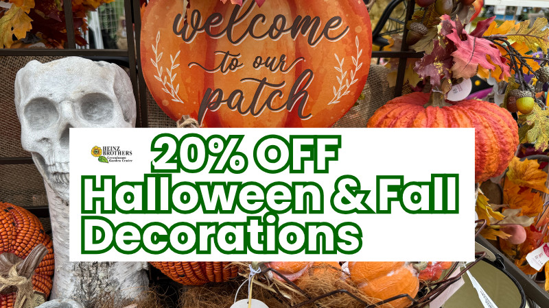20% Off Halloween & Fall Decorations