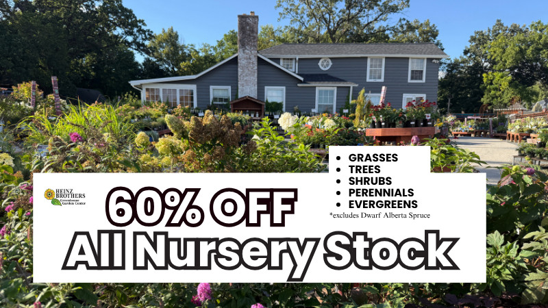 60% Off Nursery Stock