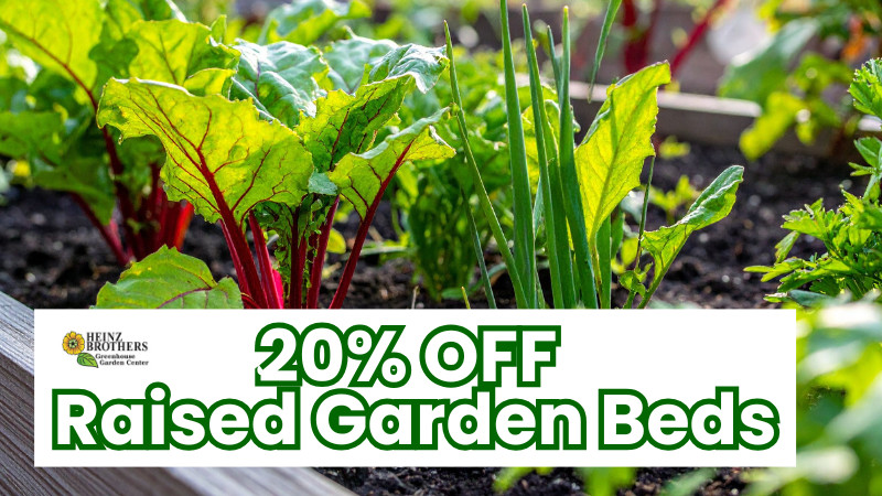 20% off Raised Garden Beds