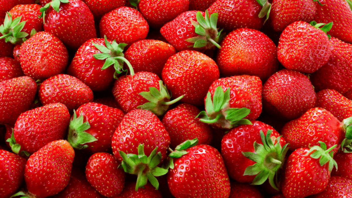 Hamblen County Strawberry Festival