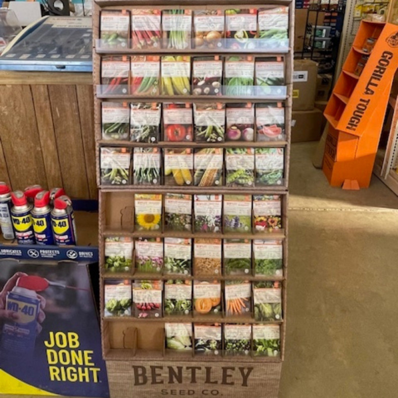 🌱 Stock Up & Save on Seeds!