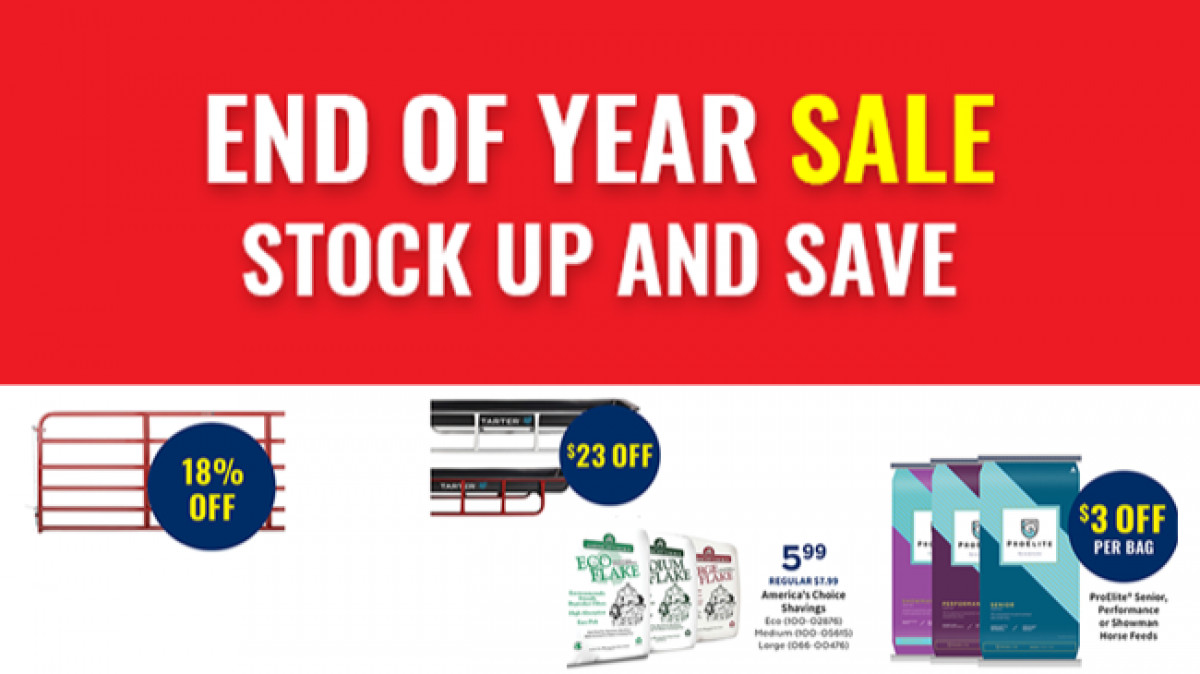 End of Year Sale!