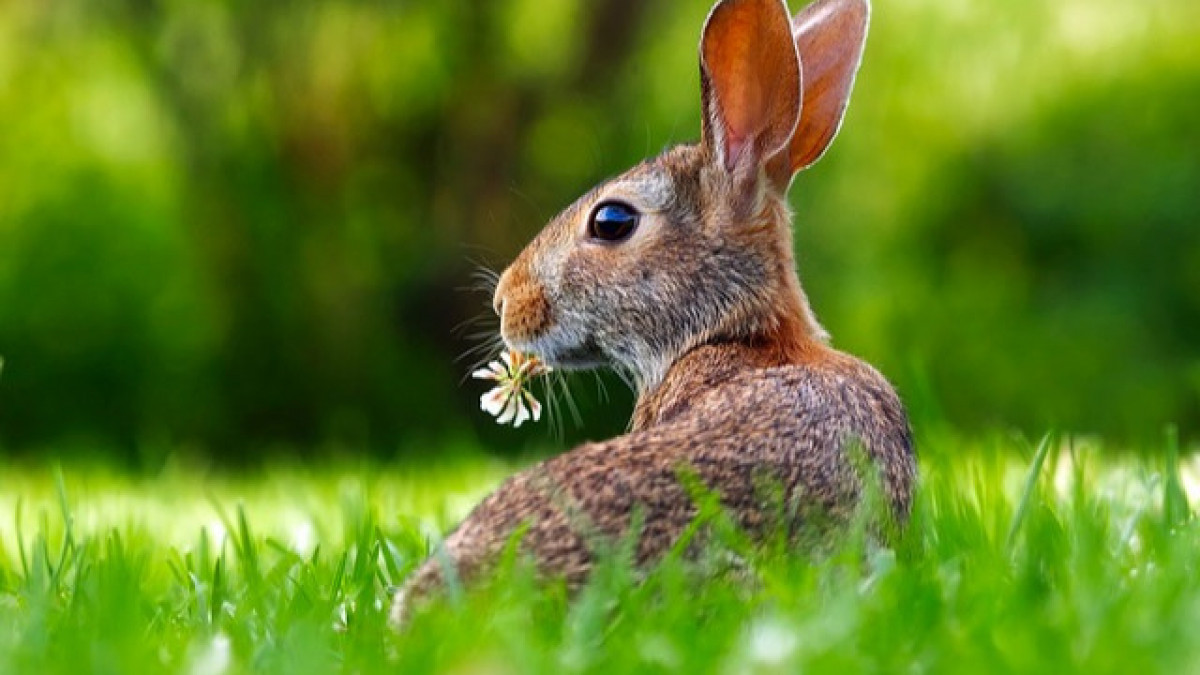 Easter Holiday Hours - Our store will be Closed Sunday March 31st, 2024, to allow our employees to celebrate Easter with their family and friends.